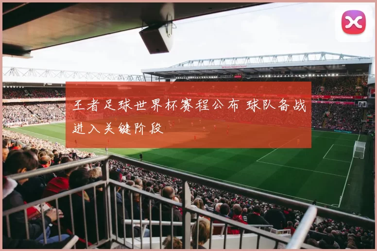 王者足球世界杯赛程公布 球队备战进入关键阶段