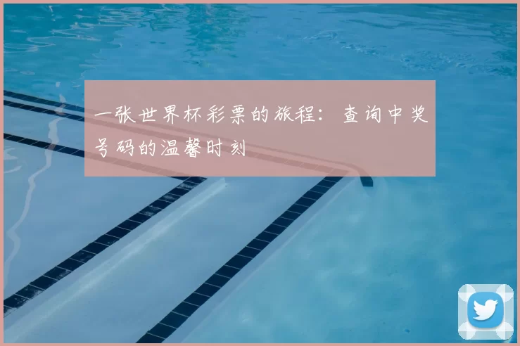 一张世界杯彩票的旅程:查询中奖号码的温馨时刻