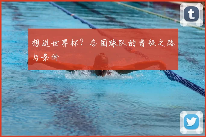 想进世界杯?各国球队的晋级之路与条件