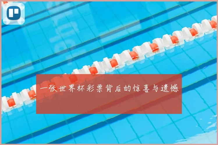 一张世界杯彩票背后的惊喜与遗憾