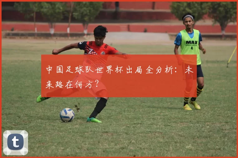中国足球队世界杯出局全分析:未来路在何方?
