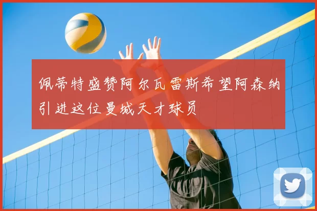 佩蒂特盛赞阿尔瓦雷斯希望阿森纳引进这位曼城天才球员