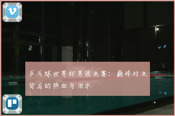 乒乓球世界杯男团决赛:巅峰对决背后的热血与泪水