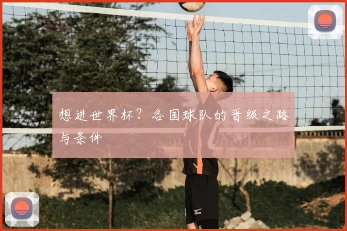 想进世界杯?各国球队的晋级之路与条件