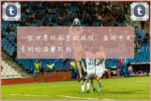 一张世界杯彩票的旅程:查询中奖号码的温馨时刻