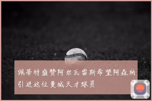 佩蒂特盛赞阿尔瓦雷斯希望阿森纳引进这位曼城天才球员
