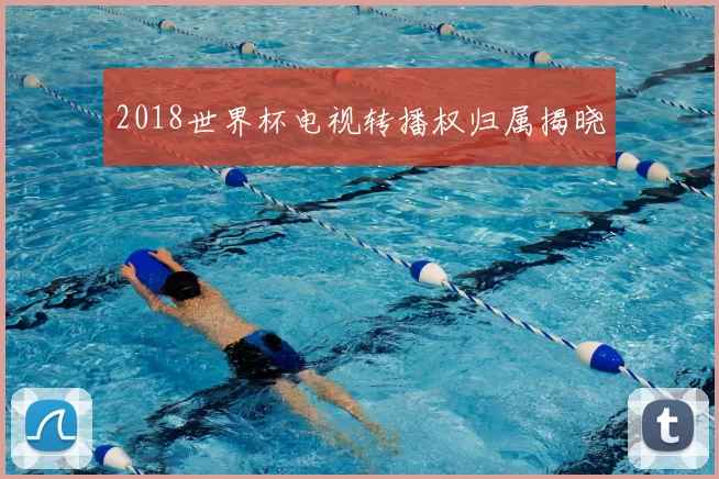2018世界杯电视转播权归属揭晓