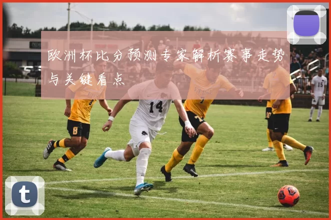 欧洲杯比分预测专家解析赛事走势与关键看点