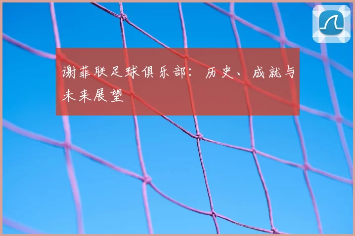谢菲联足球俱乐部:历史、成就与未来展望