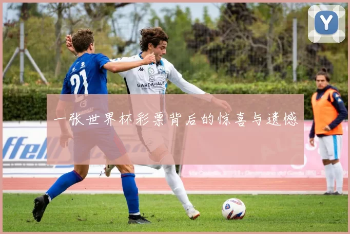 一张世界杯彩票背后的惊喜与遗憾