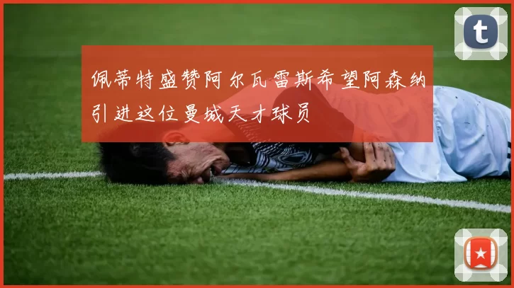 佩蒂特盛赞阿尔瓦雷斯希望阿森纳引进这位曼城天才球员