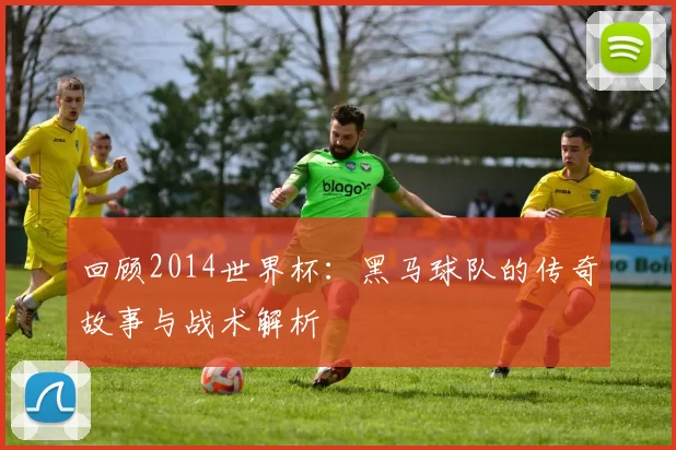 回顾2014世界杯:黑马球队的传奇故事与战术解析