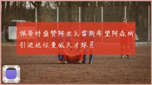 佩蒂特盛赞阿尔瓦雷斯希望阿森纳引进这位曼城天才球员