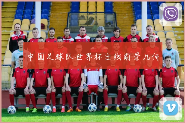 中国足球队世界杯出线前景几何
