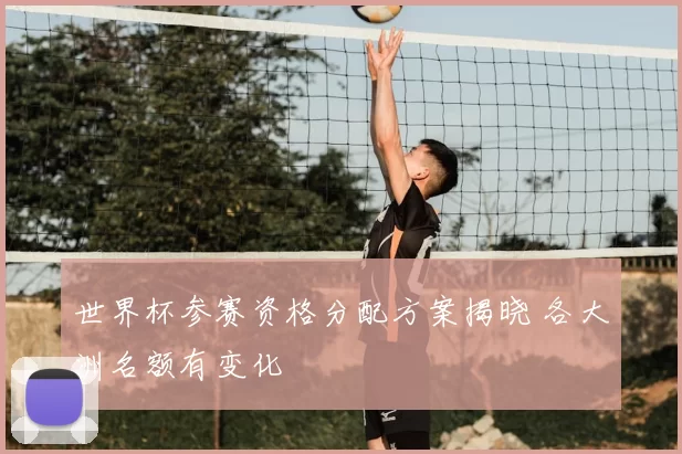 世界杯参赛资格分配方案揭晓 各大洲名额有变化
